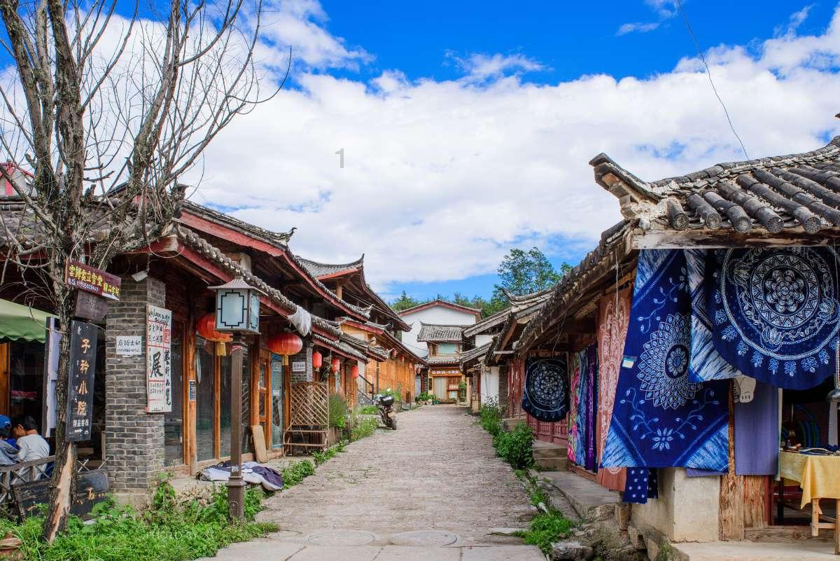 晚潮｜向明大姐——我的革命引路人